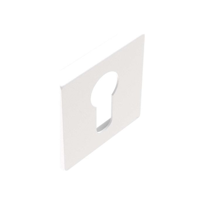 SQUACILIREG01WIT